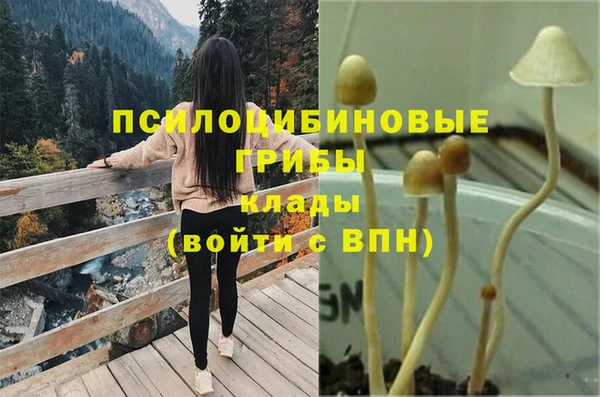 PSILOCYBIN Богданович